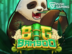 Free online casino slots with bonus rounds96